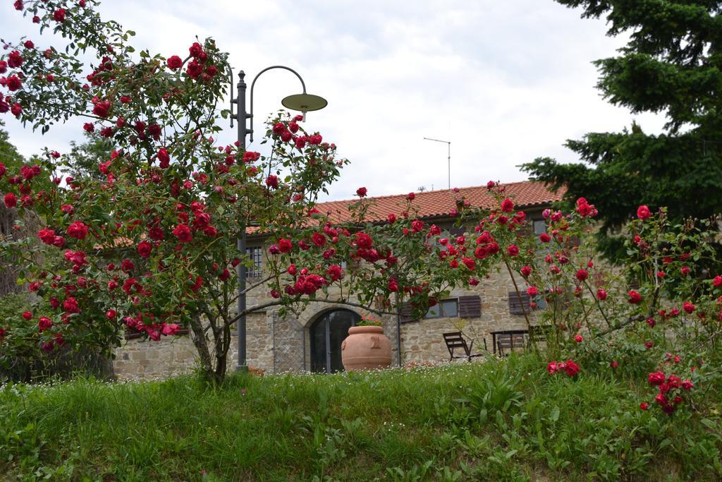 הוילה Castelfranco di Sopra Fattoria Il Praticino מראה חיצוני תמונה