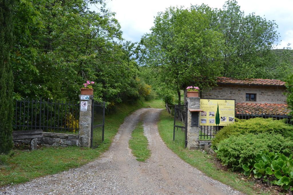 הוילה Castelfranco di Sopra Fattoria Il Praticino מראה חיצוני תמונה